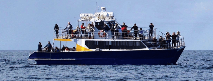 MV EXPLORER – 56’ Motor Catamaran
